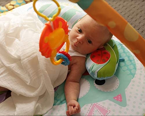 Baby Play Gym: image 9